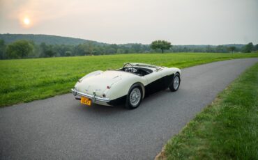 Austin-Healey-100M-1956-Convertible-4