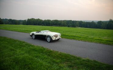 Austin-Healey-100M-1956-Convertible-5