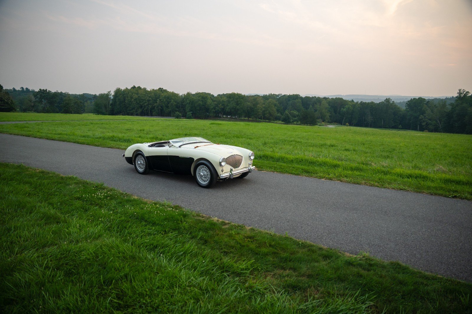 Austin-Healey-100M-1956-Convertible-5