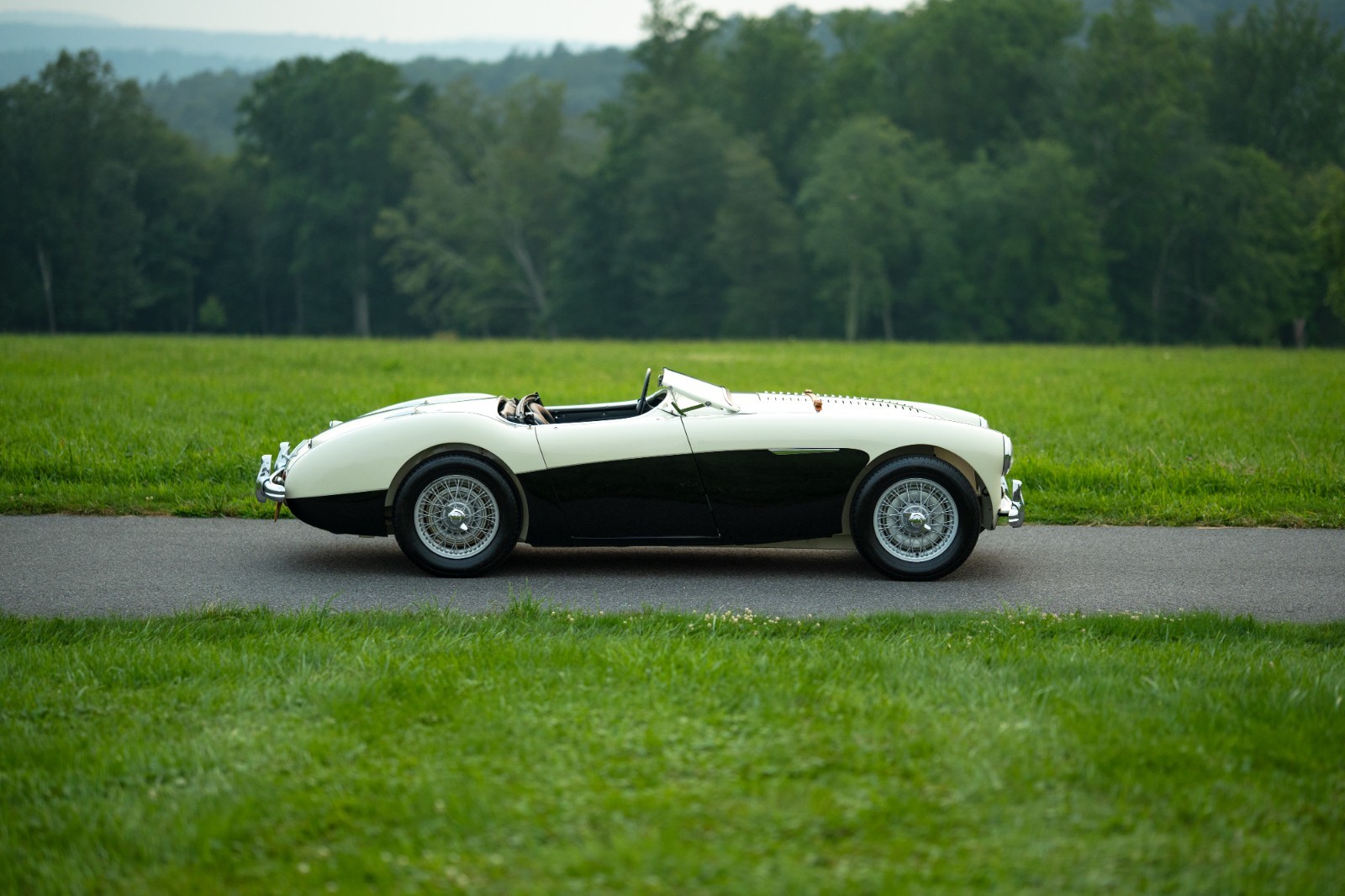 Austin-Healey-100M-1956-Convertible-6
