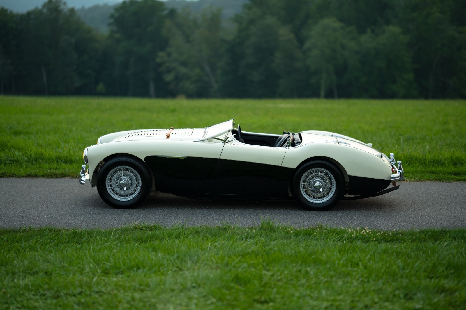 Austin-Healey-100M-1956-Convertible-8