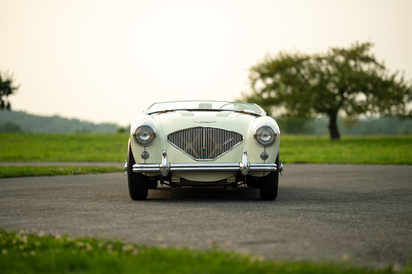 Austin-Healey-100M-1956-Convertible-9