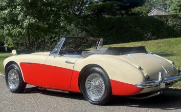 Austin-Healey-3000-1964-14
