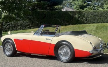Austin-Healey-3000-1964-15