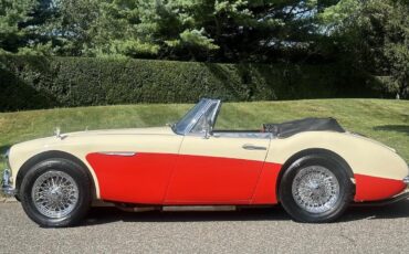 Austin-Healey-3000-1964-17