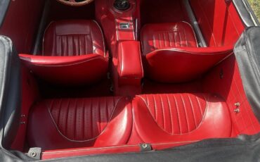 Austin-Healey-3000-1964-26