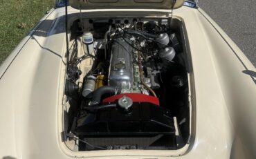 Austin-Healey-3000-1964-38