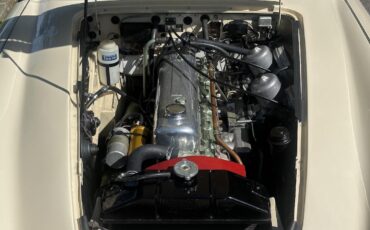 Austin-Healey-3000-1964-39