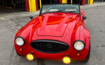Austin-Healey-3000-1965-2