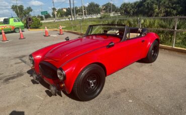 Austin-Healey-3000-1965-6