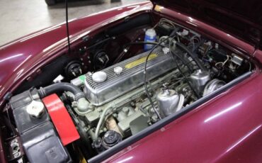 Austin-Healey-3000-1965-Convertible-39