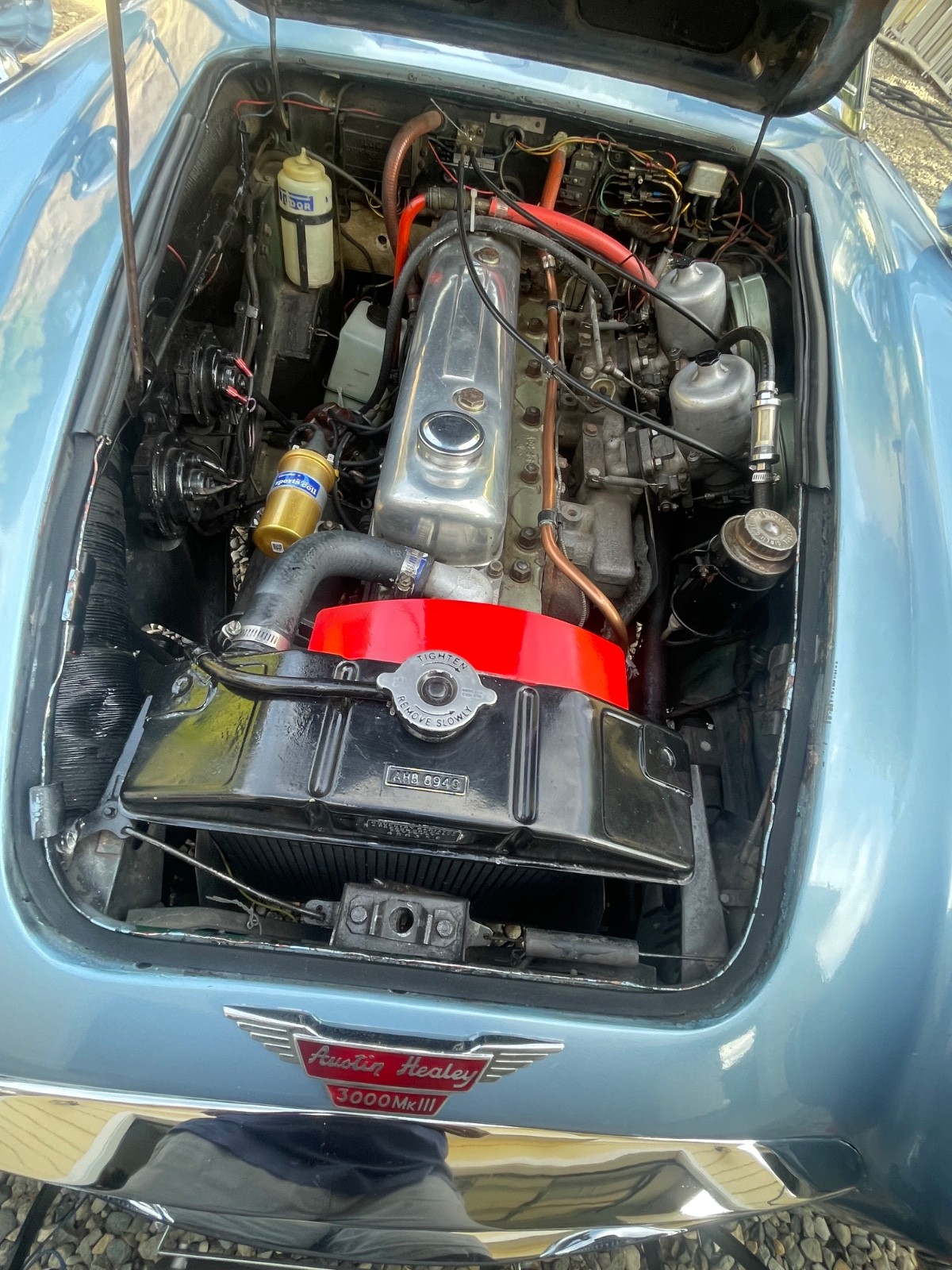 Austin-Healey-3000-1967-Convertible-19