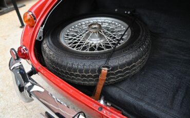 Austin-Healey-3000-MK-III-1966-39