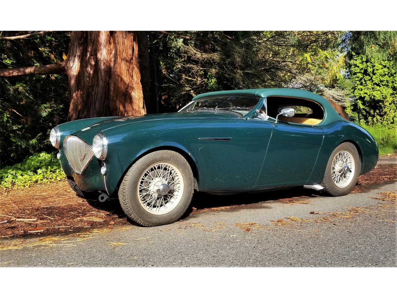 Austin-healey-100-4-1953-Green-Tan-1