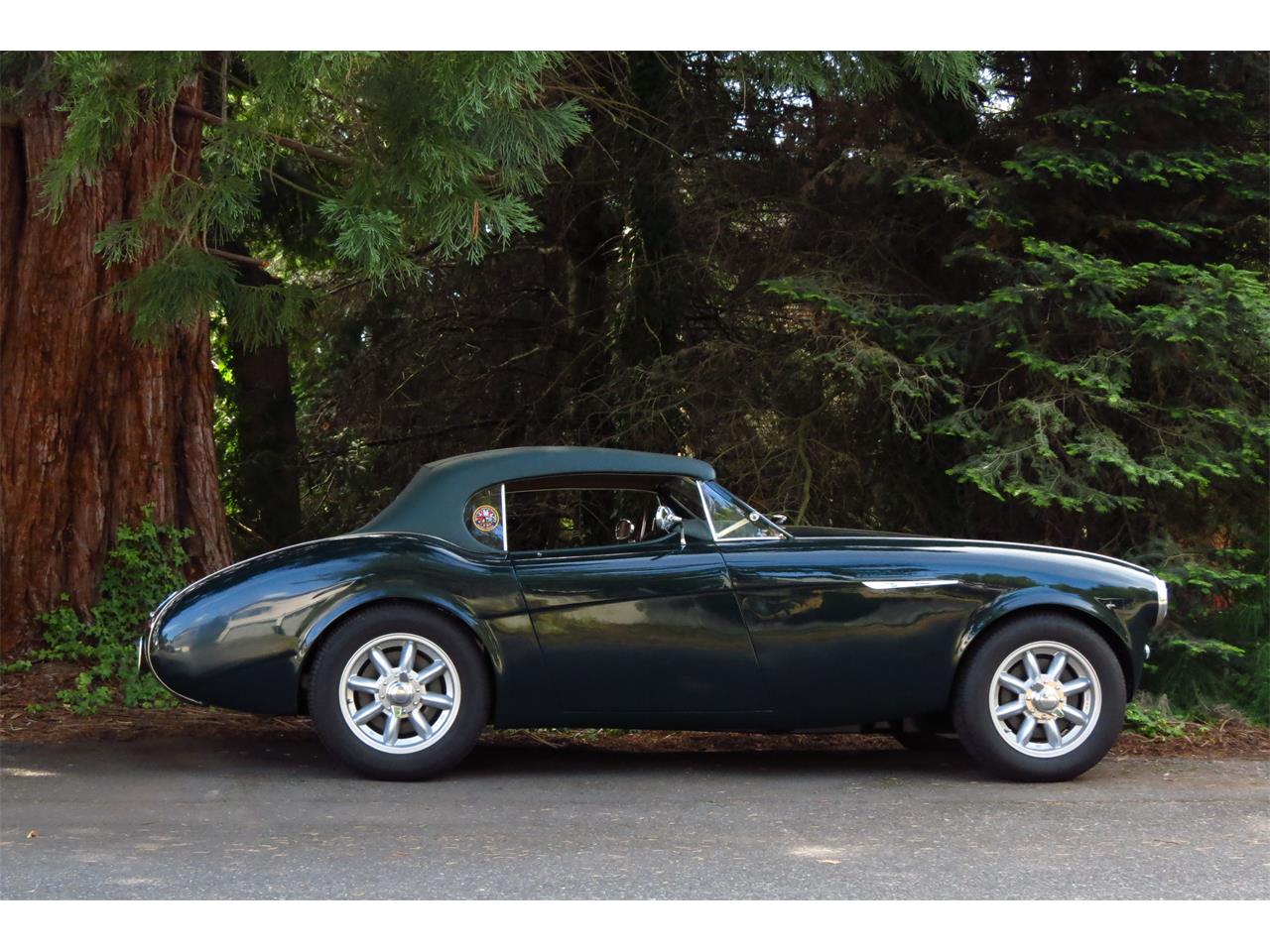 Austin-healey-100-4-1953-Green-Tan-12