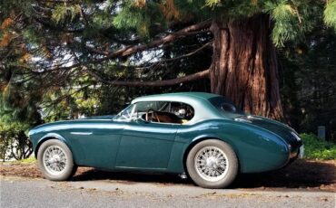 Austin-healey-100-4-1953-Green-Tan-2
