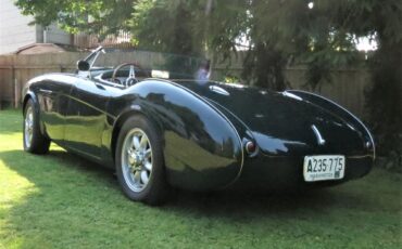 Austin-healey-100-4-1953-Green-Tan-25