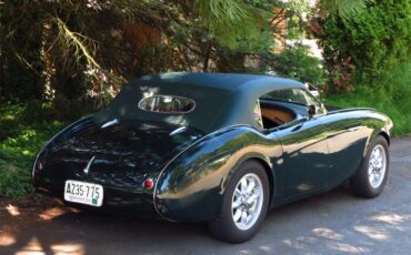 Austin-healey-100-4-1953-Green-Tan-27