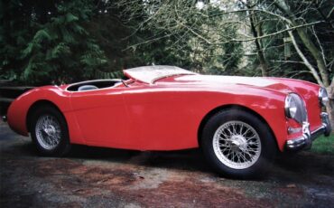 Austin-healey-100-4-1953-Green-Tan-33