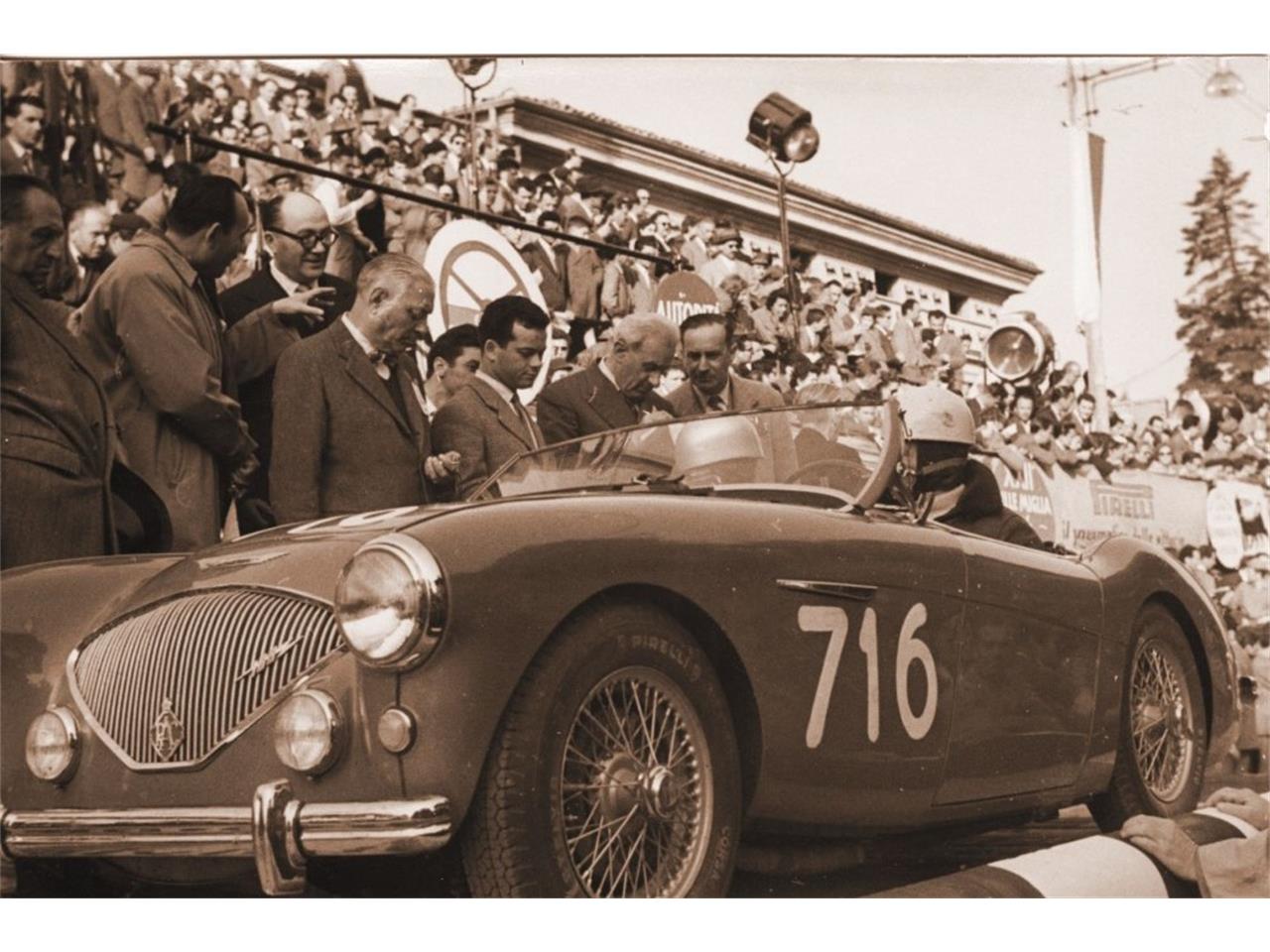 Austin-healey-100-4-1953-Green-Tan-36