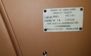 Austin-healey-100-4-1953-Green-Tan-40