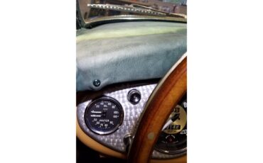 Austin-healey-100-4-1953-Green-Tan-42