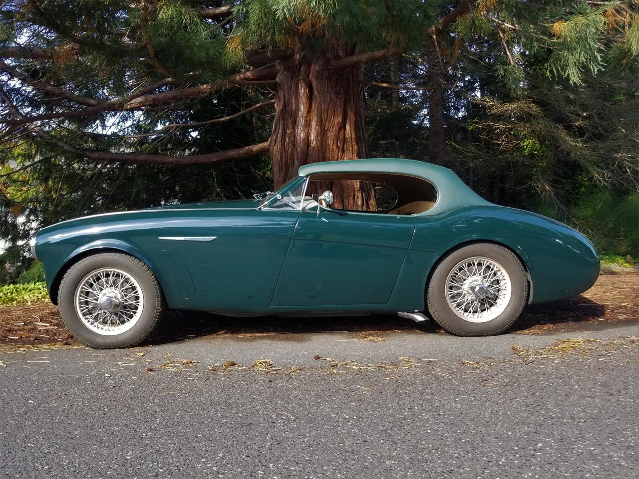 Austin-healey-100-4-1953-Green-Tan-74