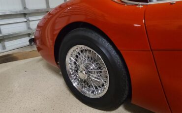 Austin-healey-100-4-1954-Red-Black-leather-18