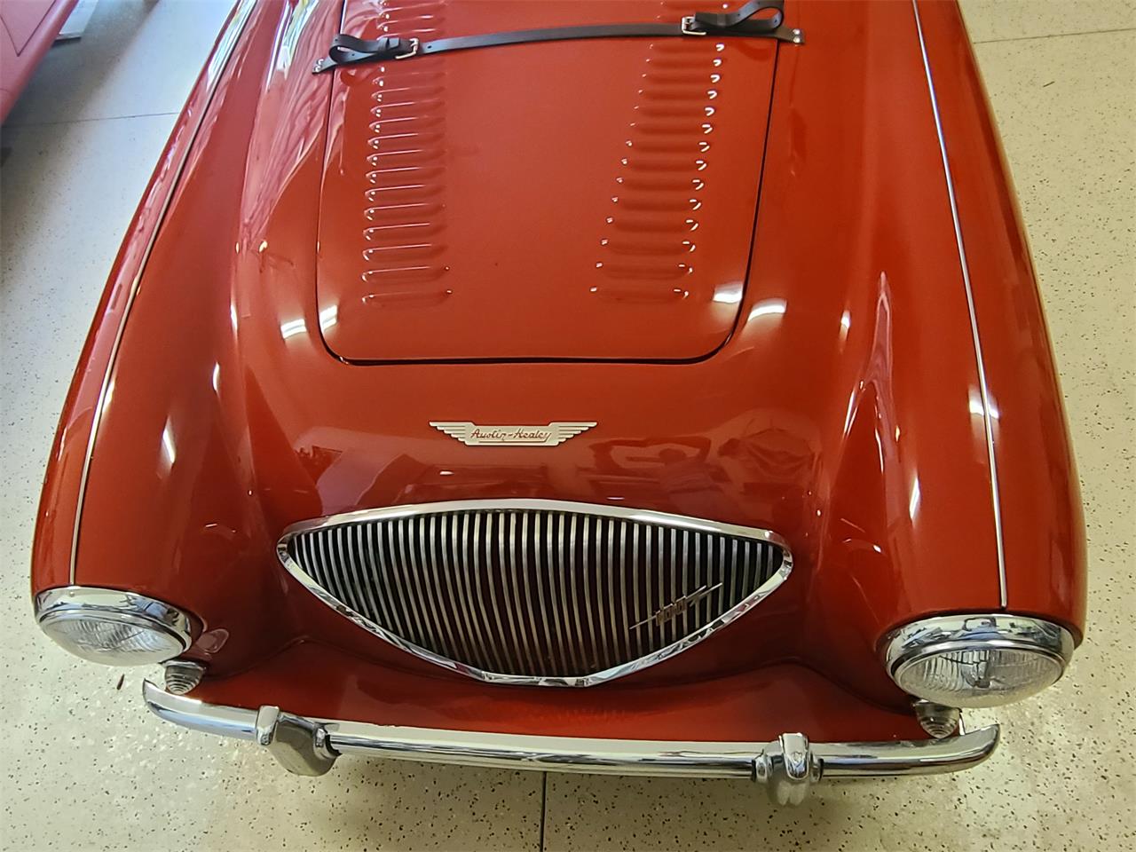 Austin-healey-100-4-1954-Red-Black-leather-5