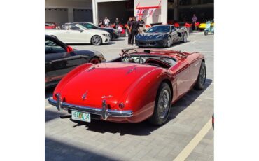 Austin-healey-100-4-1954-Red-Black-leather-6