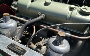 Austin-healey-100-4-bn2-1956-Green-Red-14