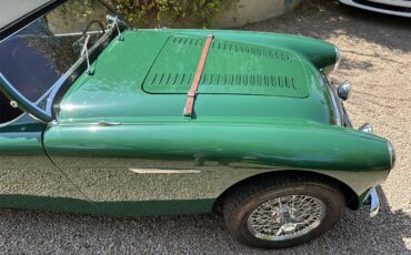Austin-healey-100-4-bn2-1956-Green-Red-3