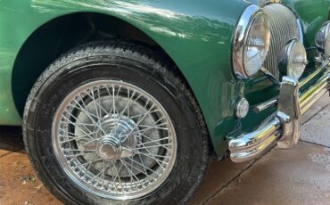 Austin-healey-100-4-bn2-1956-Green-Red-5