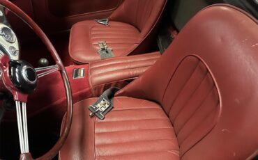 Austin-healey-100-4-bn2-1956-Green-Red-9