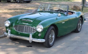 Austin-healey-100-6-1958-Green-Brown-1