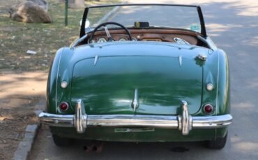 Austin-healey-100-6-1958-Green-Brown-4