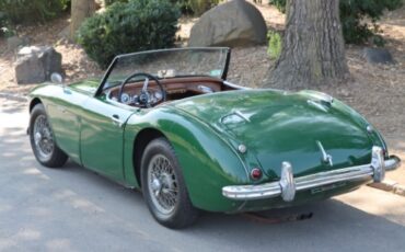 Austin-healey-100-6-1958-Green-Brown-5