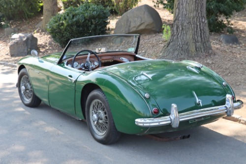 Austin-healey-100-6-1958-Green-Brown-5