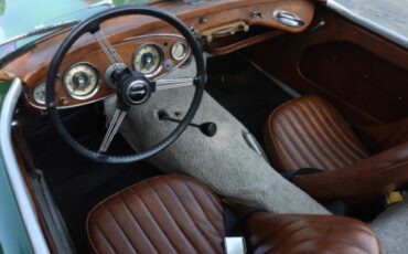 Austin-healey-100-6-1958-Green-Brown-6