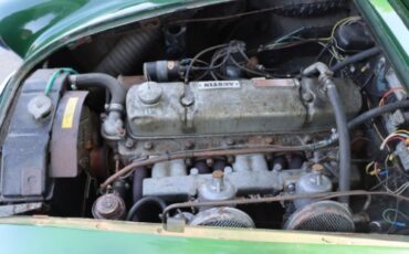 Austin-healey-100-6-1958-Green-Brown-7