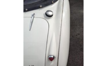 Austin-healey-100-6-1959-Artic-White-Black-with-white-11