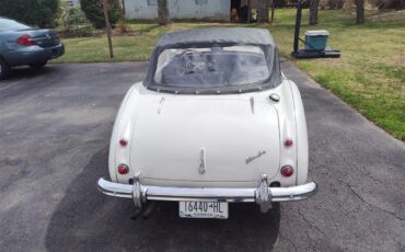 Austin-healey-100-6-1959-Artic-White-Black-with-white-2