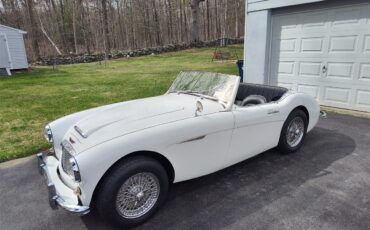 Austin-healey-100-6-1959-Artic-White-Black-with-white-22