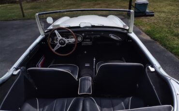 Austin-healey-100-6-1959-Artic-White-Black-with-white