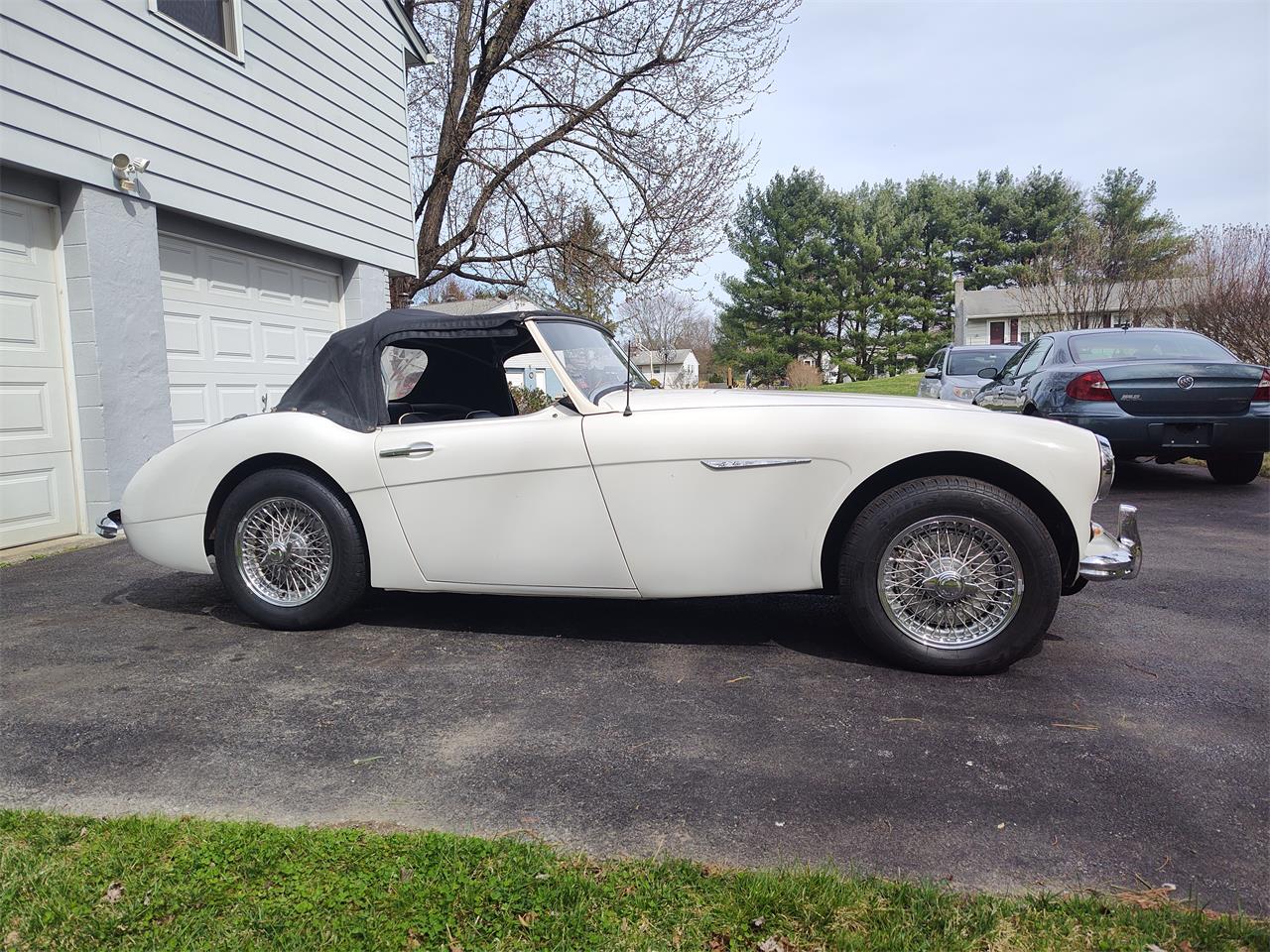 Austin-healey-100-6-1959-Artic-White-Black-with-white-6