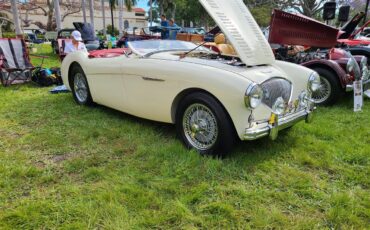 Austin-healey-100m-1954-Old-English-White-Red-8
