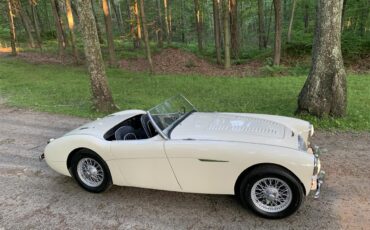 Austin-healey-100m-1956-White-Black-1