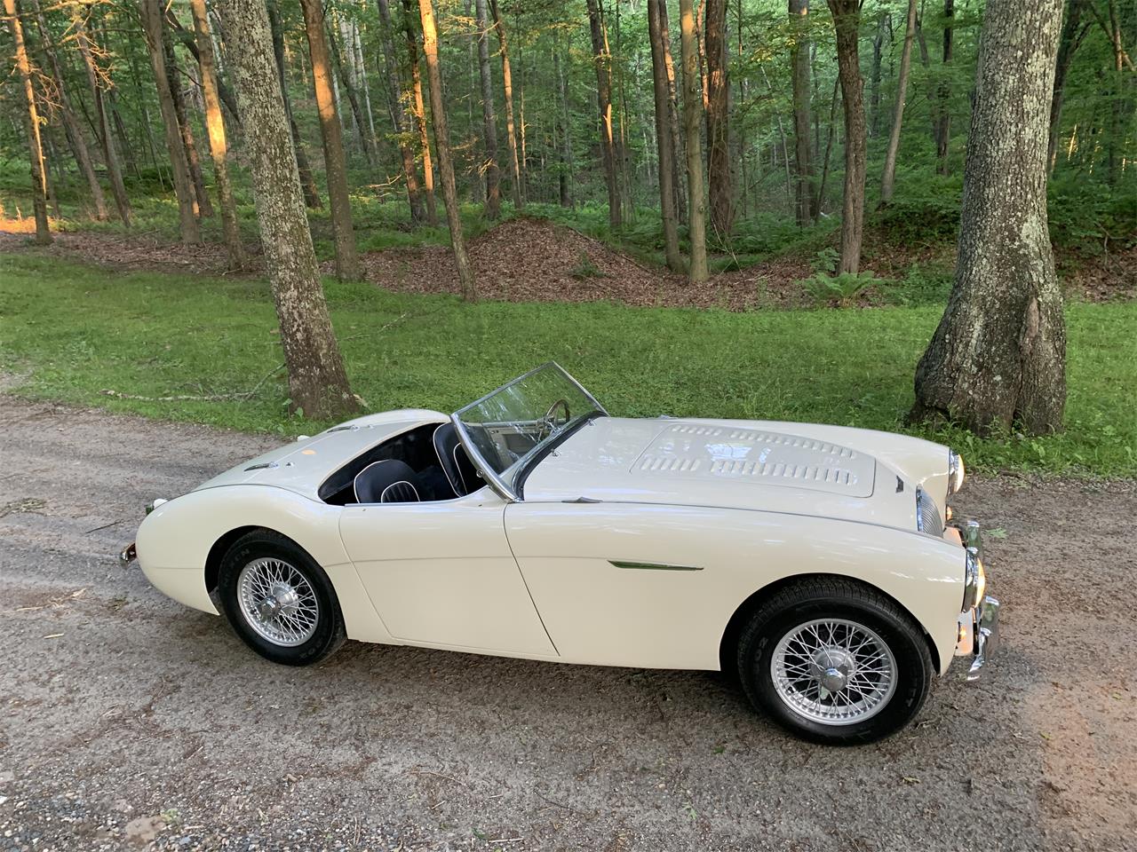 Austin-healey-100m-1956-White-Black-1