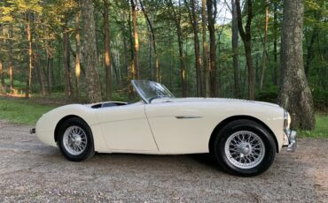 Austin-healey-100m-1956-White-Black-10