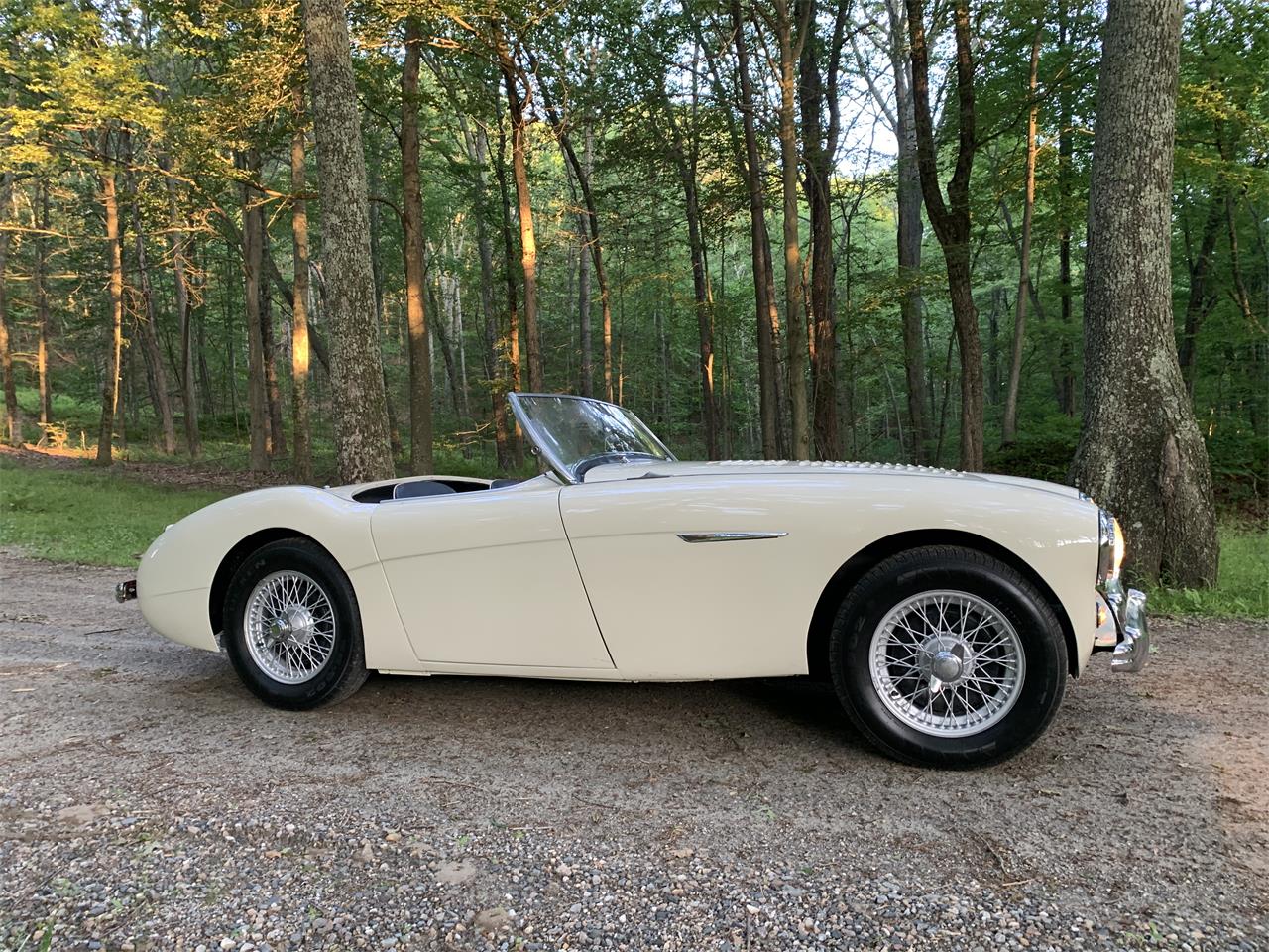 Austin-healey-100m-1956-White-Black-10